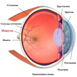 Макулярный разрыв сетчатой оболочки